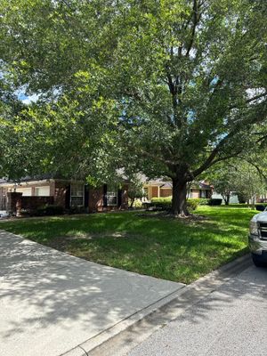 Deerwood Resident | Tree Trimming
