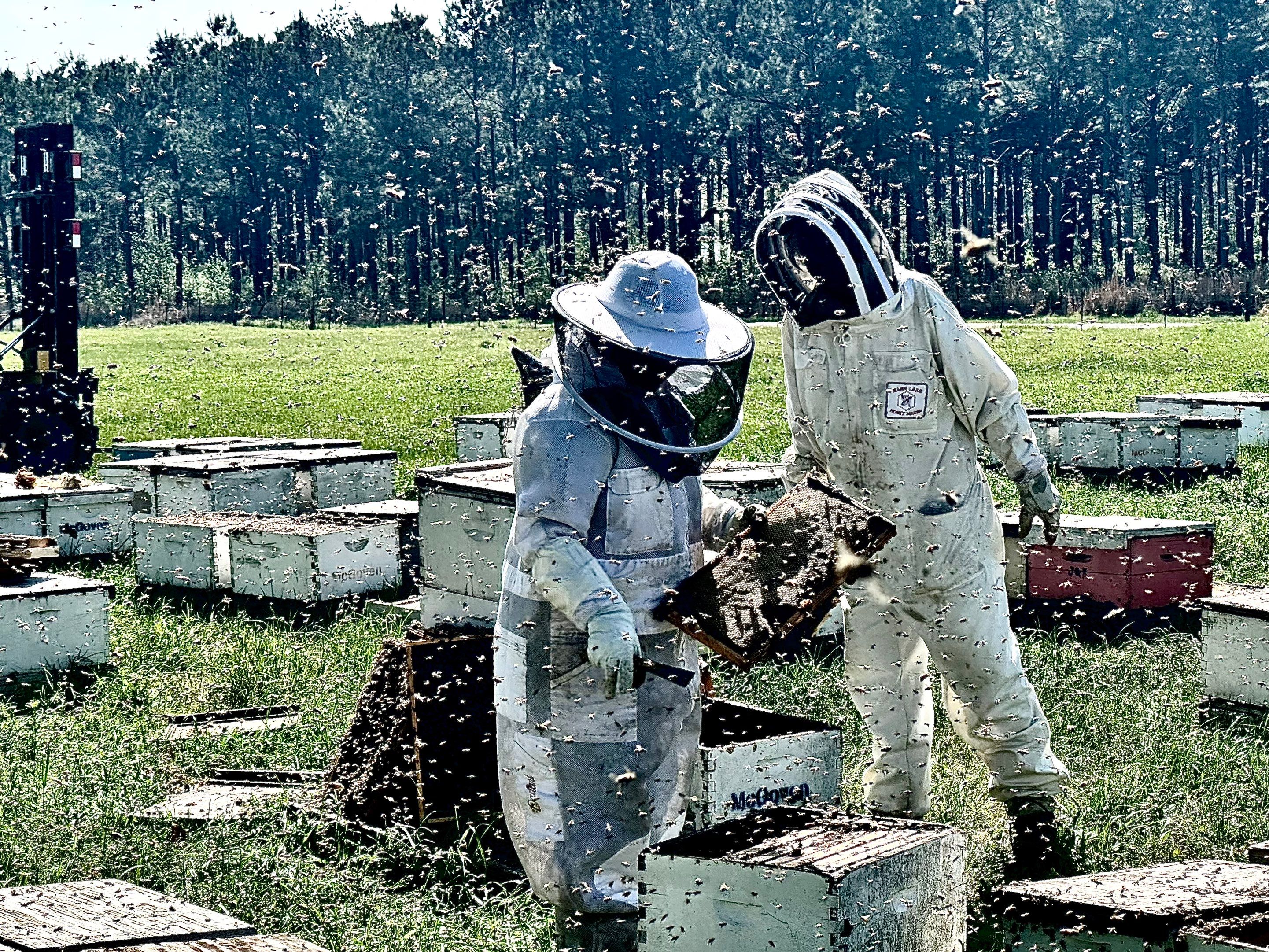 Peanut Farm Apiary by Rockwall Honey Bee Company