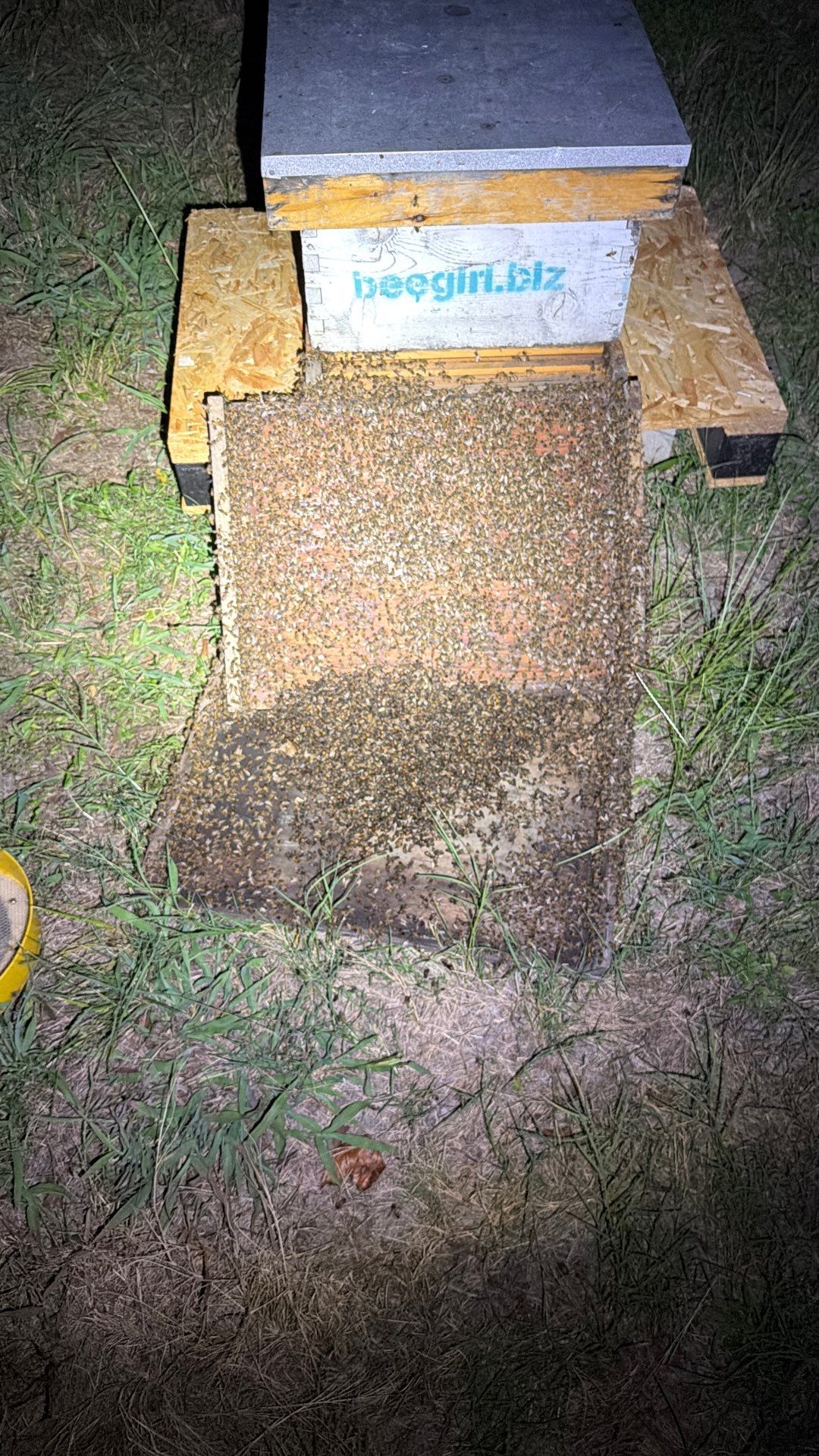 Backhoe Bees by Rockwall Honey Bee Company