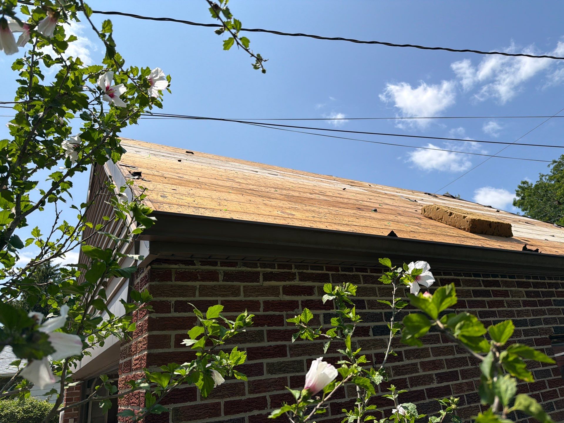 Cardinal Roofing and Renovations featured photo.