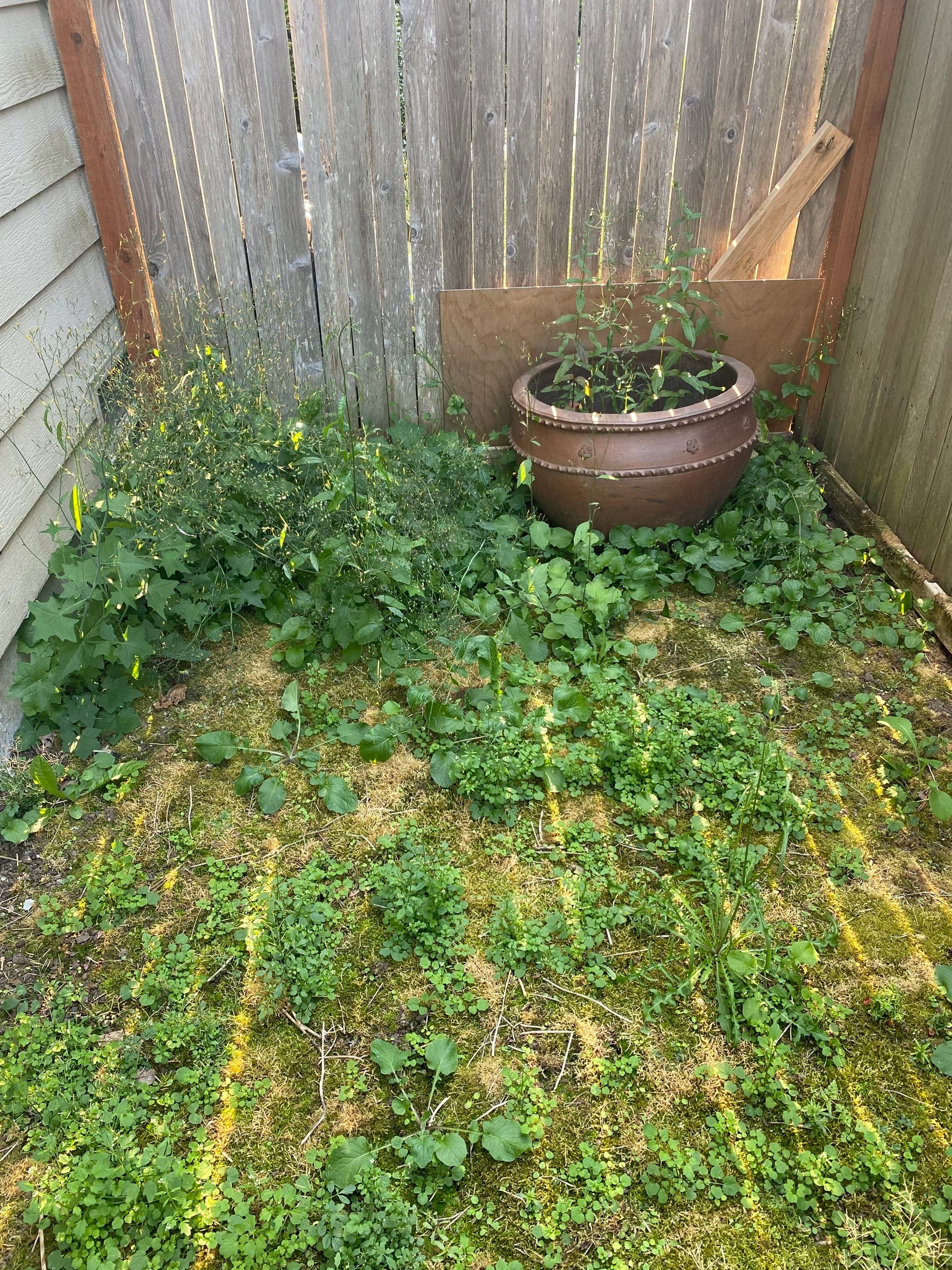 Small Patio Makeover in Lynnwood by Jireh Asphalt & Concrete Inc