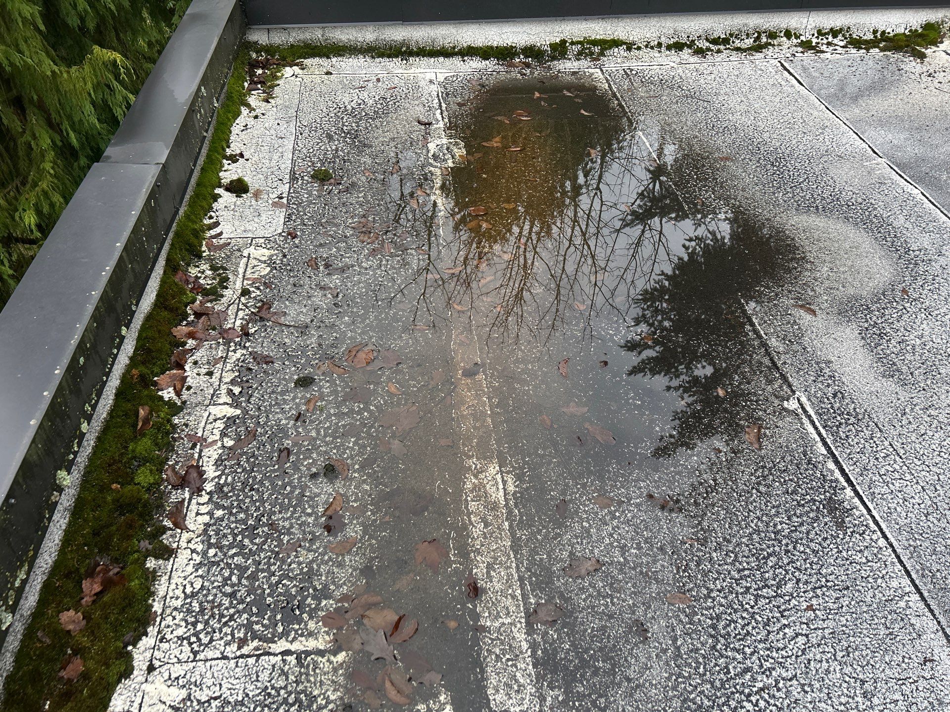 Project in Kirkland by Connolly Construction Company