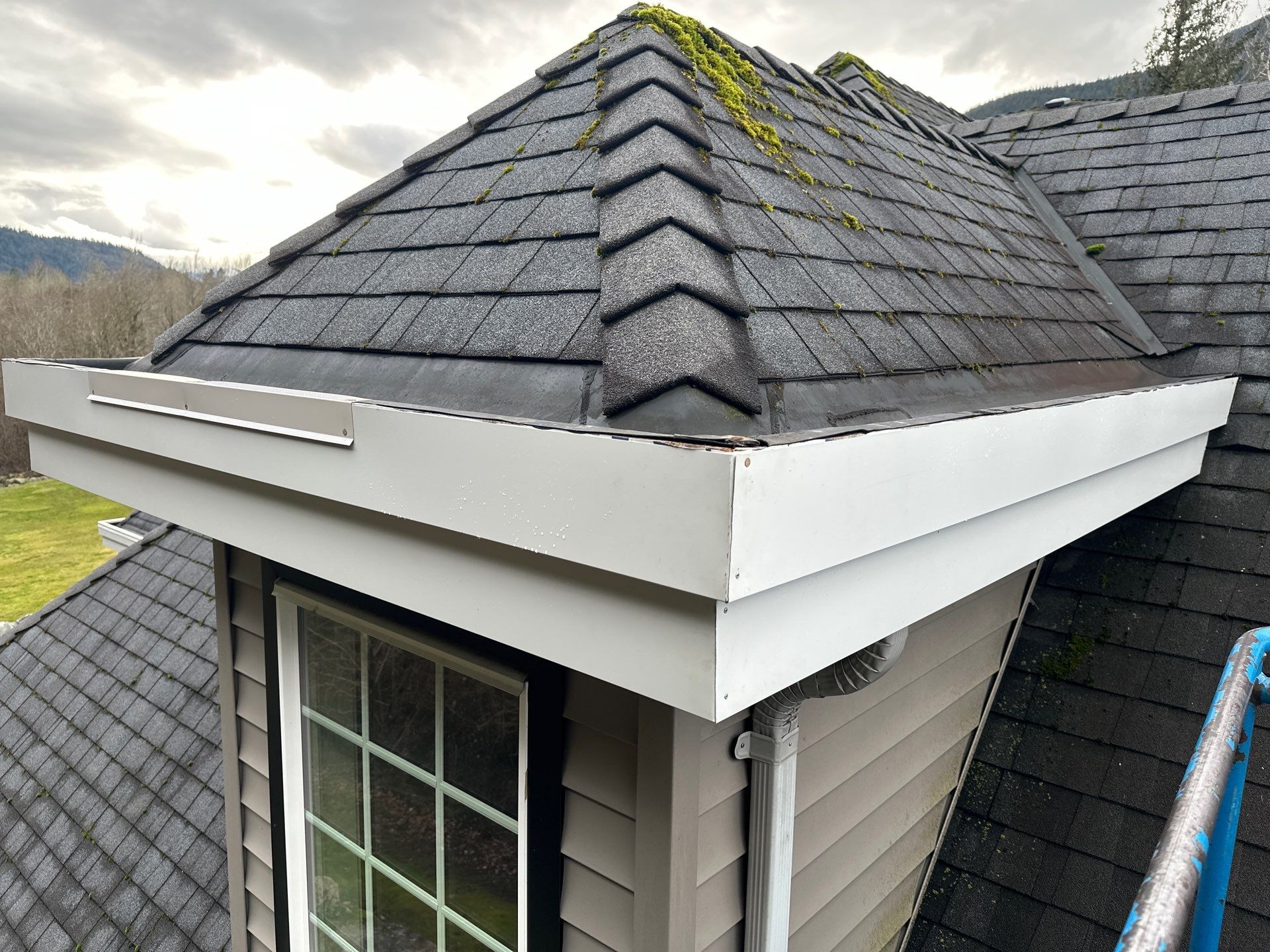 Residential Re-Roof using 26 GA Fascia Color White White by Top Notch Roofing Inc