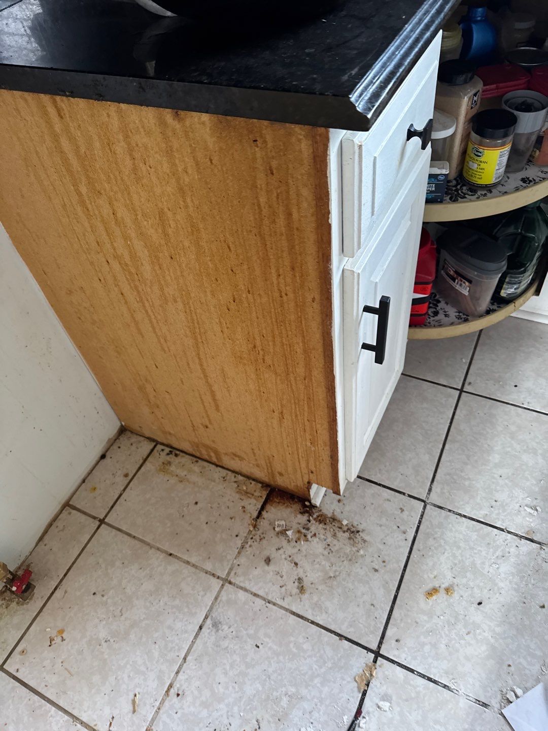 Project in Sterling Heights by EzDry Water Mitigation & Property Restoration