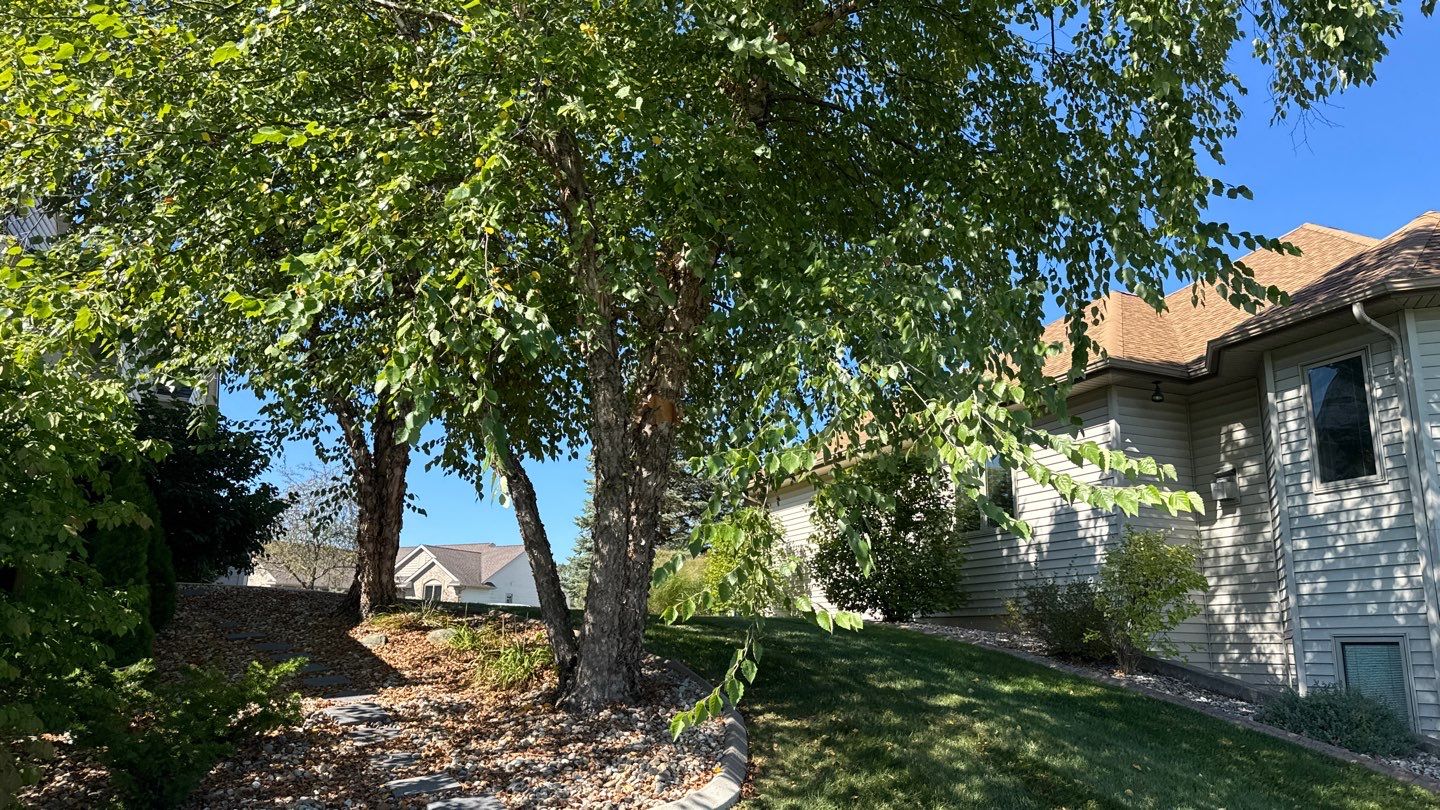 Project in Fort Wayne by Carrs lawn and landscape