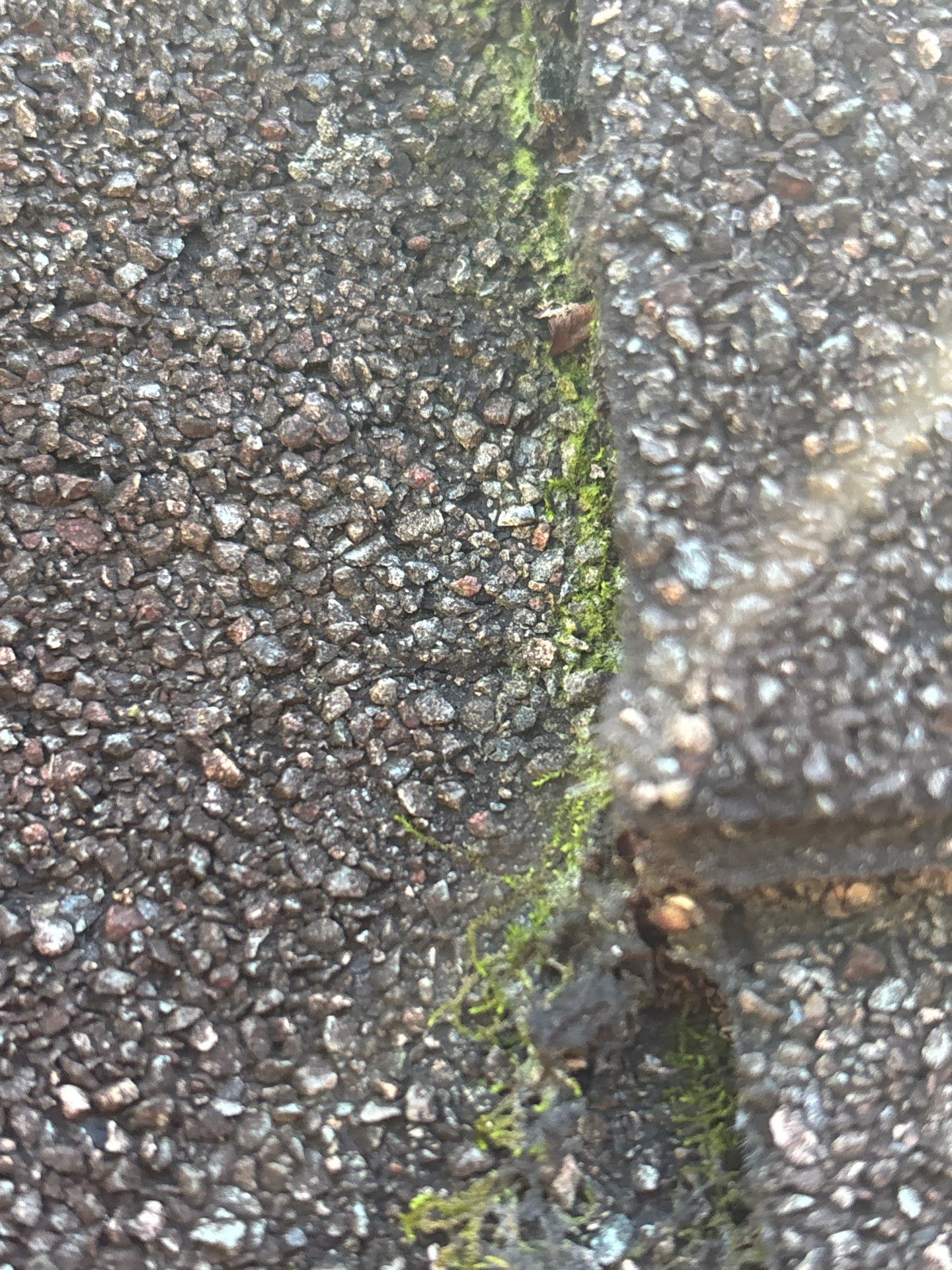 Project in Palmyra by Roof Maxx of Midlothian