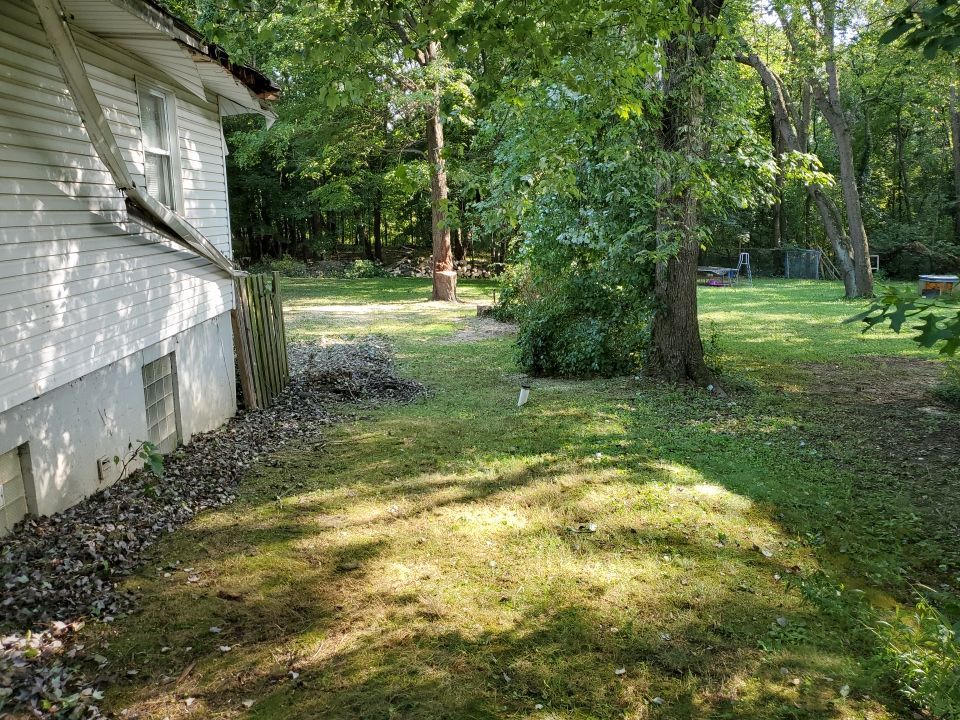 Storm Damaged Tree Removal  by Mike Jones & Sons Tree Service LLC 