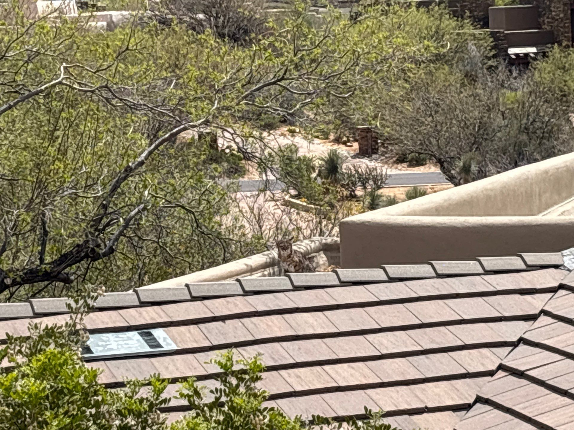 Residential Roofing Repair using Coating/Tile Roof underlayment by C&N Roofing INC
