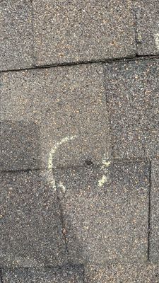 Turtle Shell gutter protection installation in Naperville, IL 60563, photograph 31