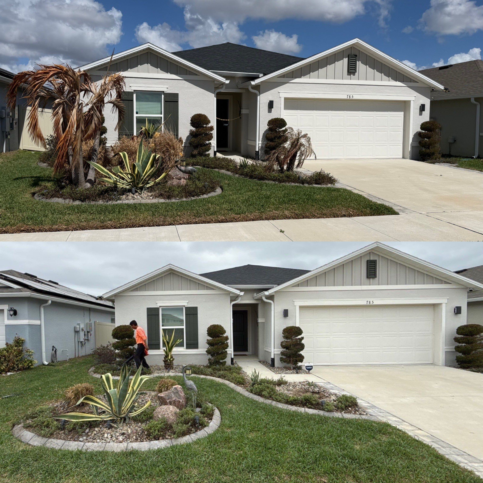 Cold Damage Plant Removal & Landscape Cleanup by
M.A.B. Landscaping & Property Maintenance