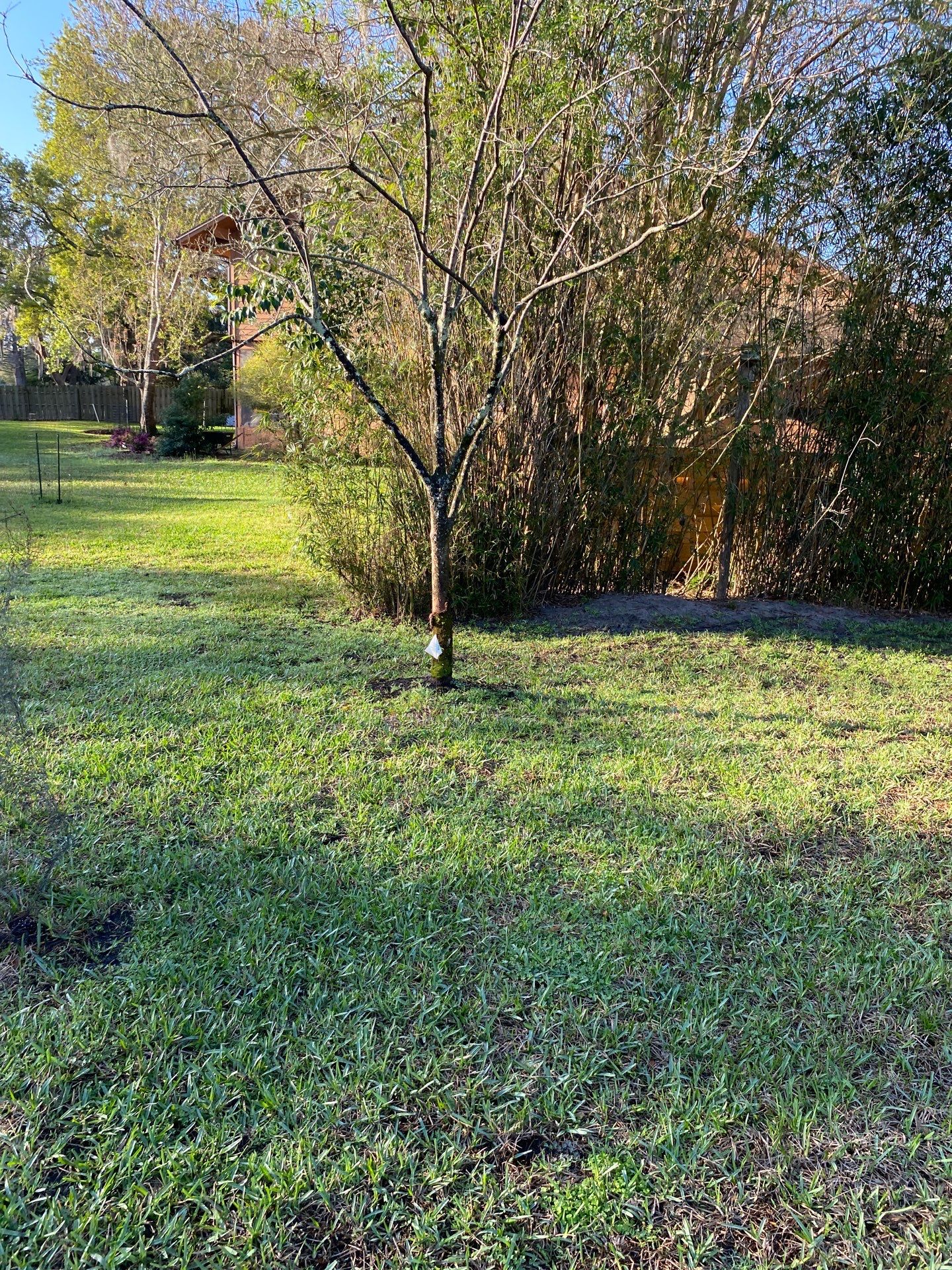 Deerwood Resident | Landscaping by ProGreen Services
