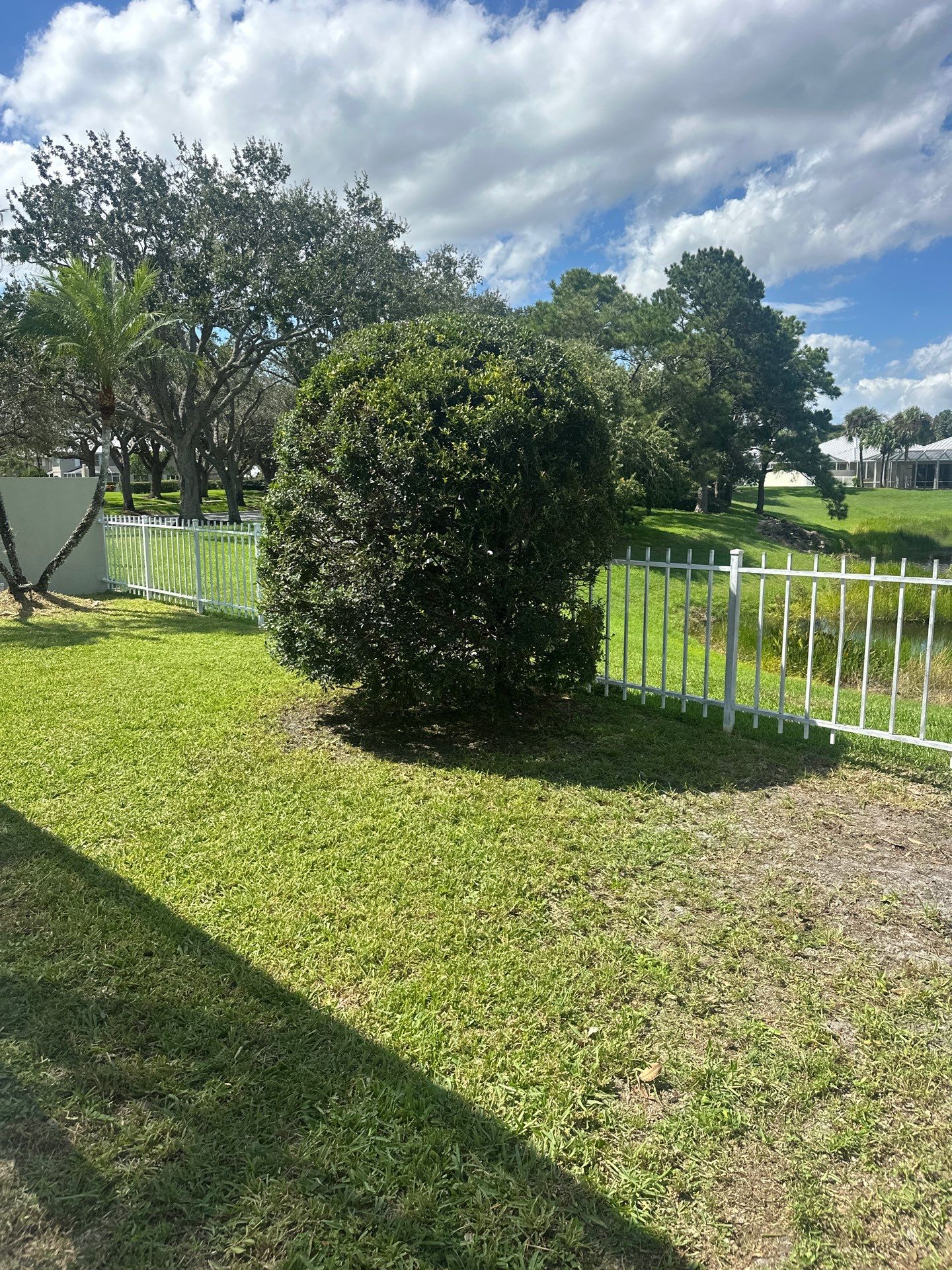 🌱 Evergreen Residential Cleanup — Palm City by Alpha Zeta Enterprises Inc