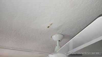 Clay Tile Roof Leak Repair and Sheathing Replacement in Hollywood by Aastro Roofing