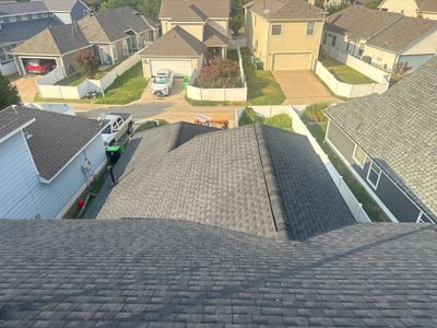 Project in Savannah