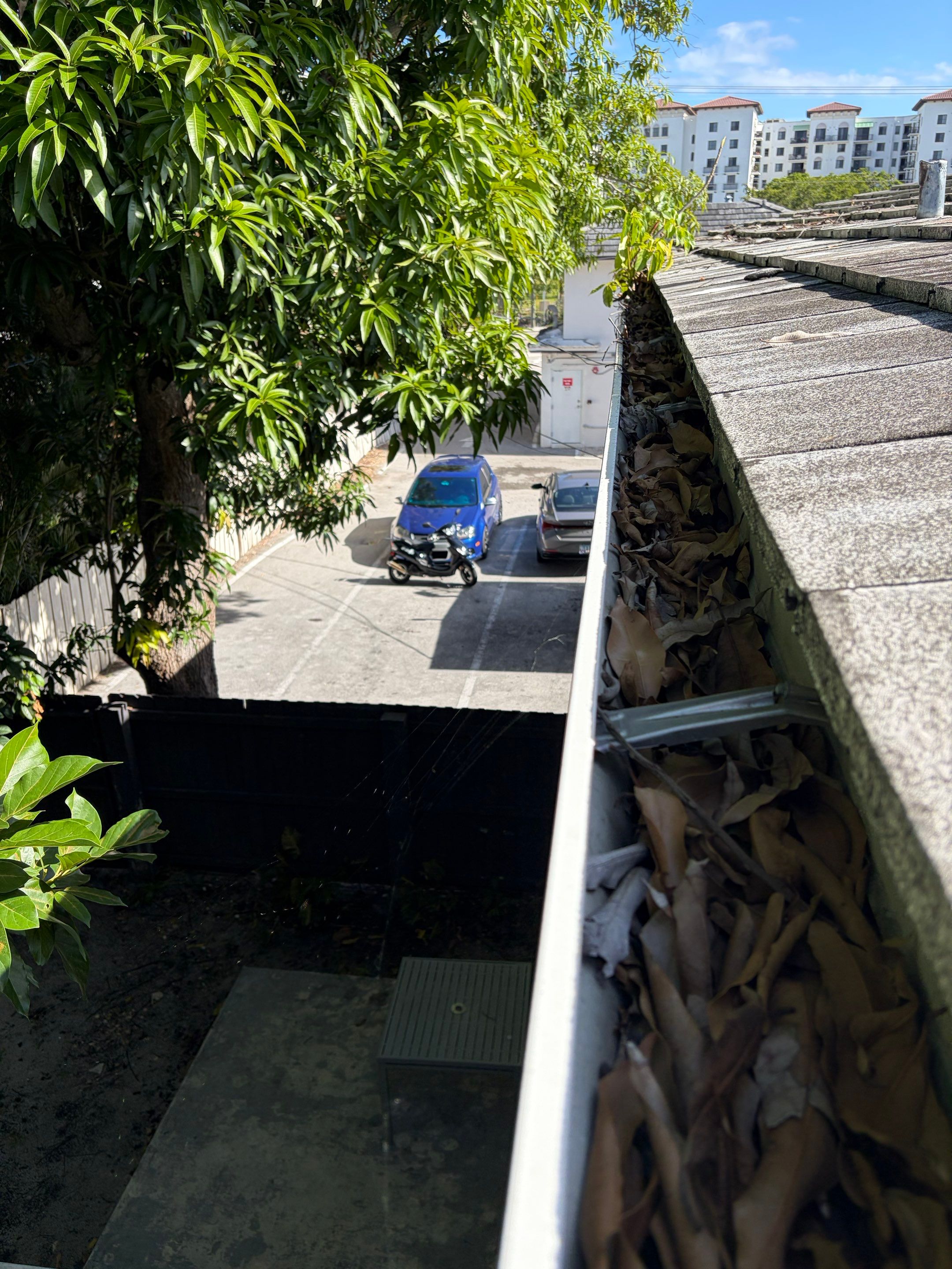 HOA gutter cleaning before photo