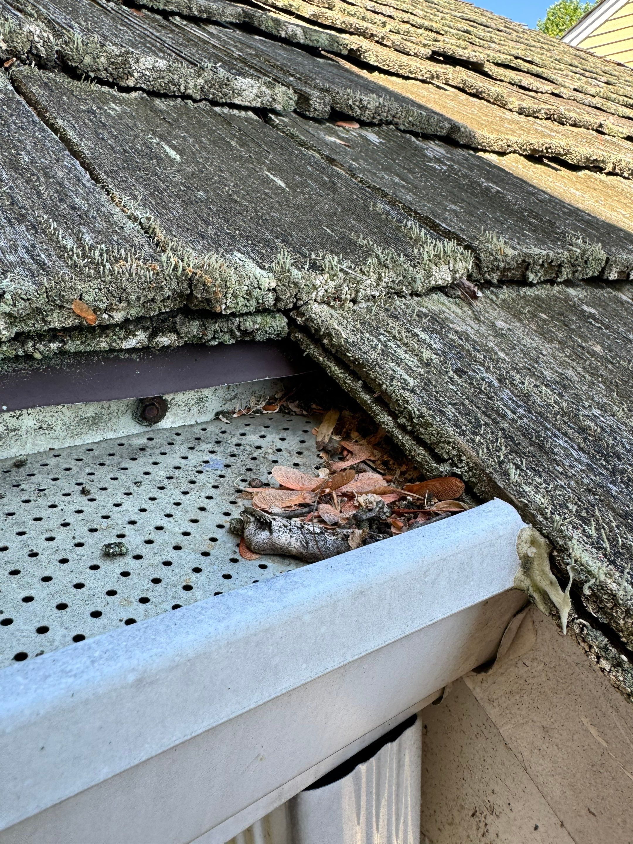 Arlington: CertainTeed Grand Manor Designer Shingles in Weathered Wood by RM Banning, Inc.