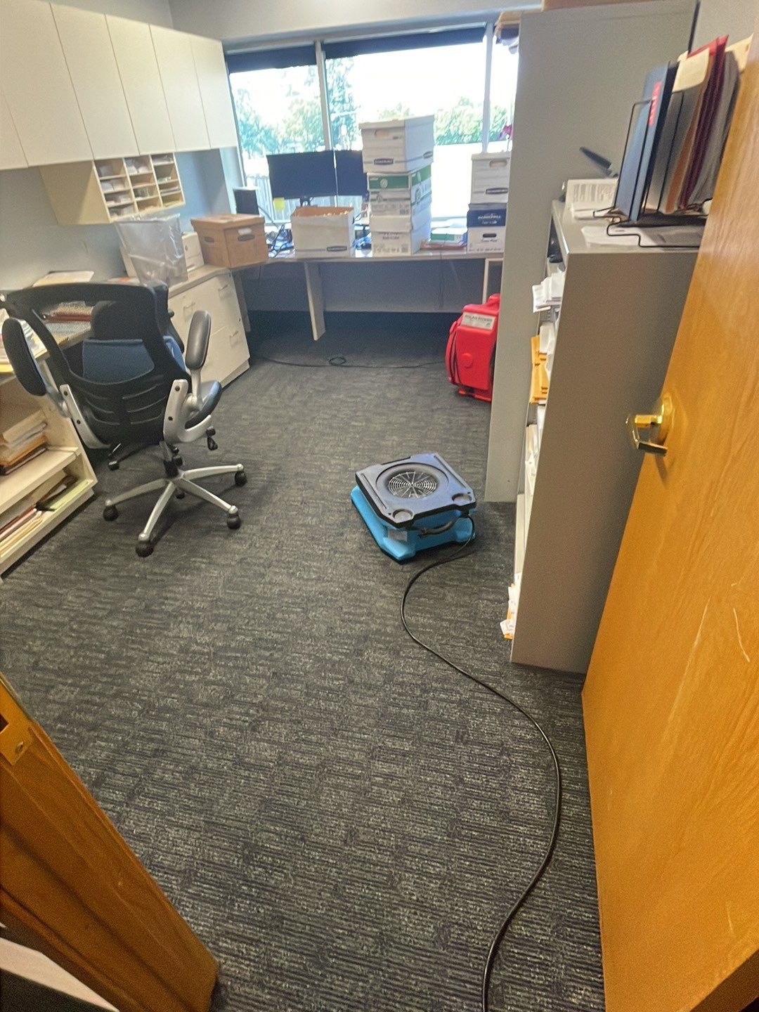 Project in Southfield by EzDry Water Mitigation & Property Restoration