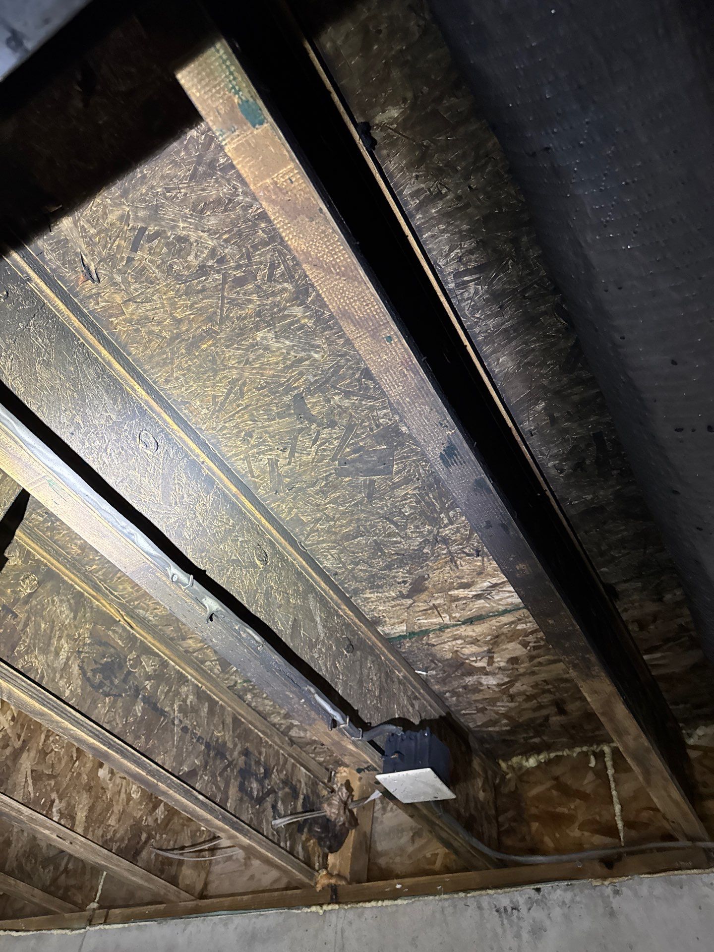 Project in Commerce Twp by EzDry Water Mitigation & Property Restoration