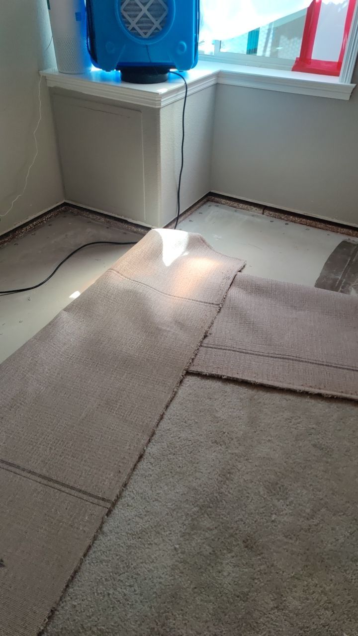 Mold Remediation  by Accountable Home Services