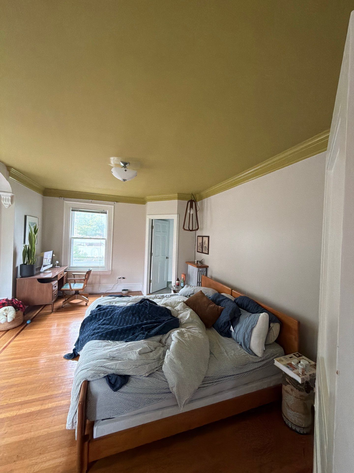 Soft Contrast and Seamless Design in Roxborough ✨ by Groovy Hues