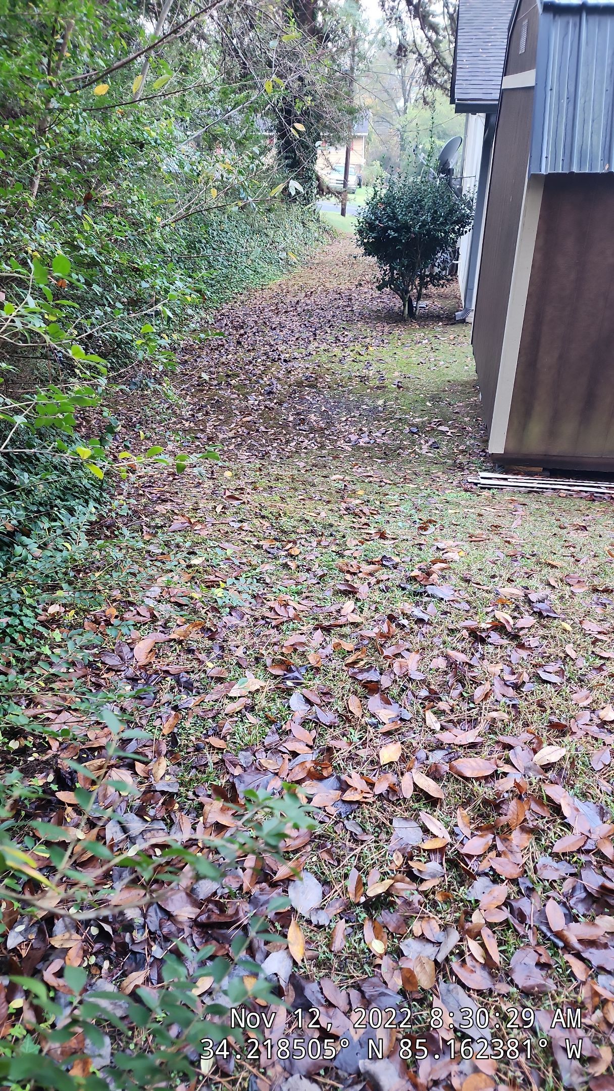 6' Wood Privacy Fence with Top Cap by Titans of Timber Fence & Stain