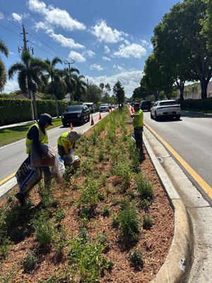 Pinecrest Median - New Native Landscape by Nature's Dream