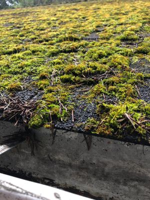 Project in Seattle