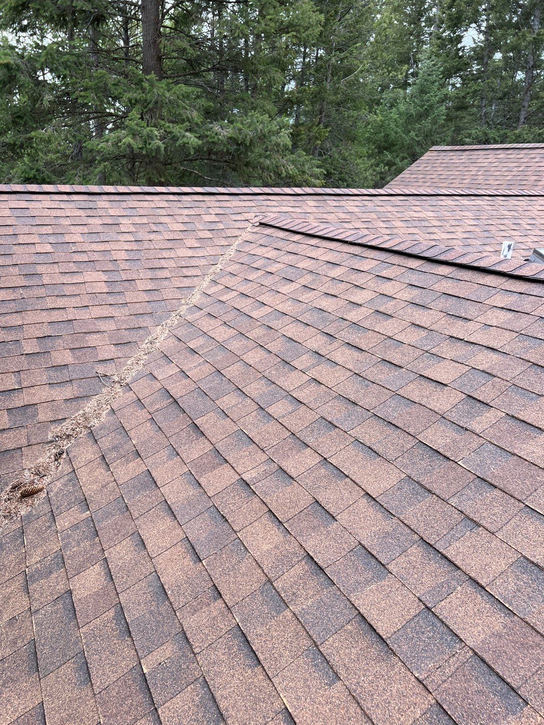 GAF Timberline HDZ - Hunter Green by Montana Roofing Solutions