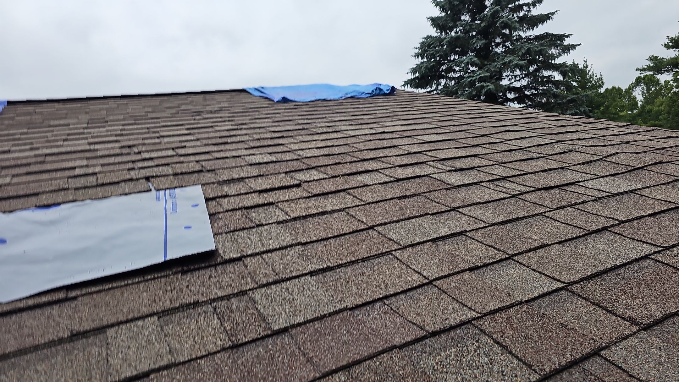 ATLAS PINNACLE COLOR: BLACK SHADOW by Eagle Eye Roofing