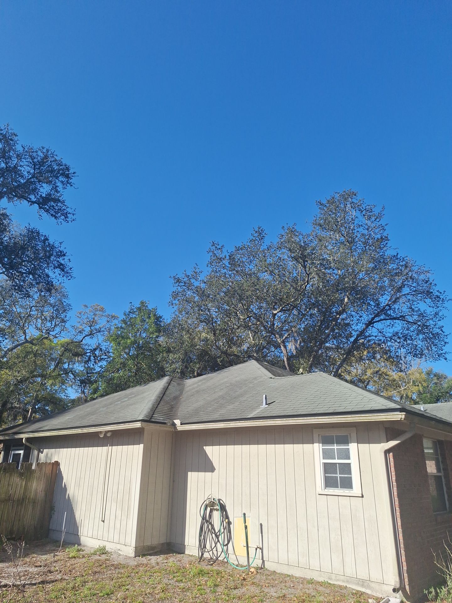 Shingle -> Shingle by Prime Roofing