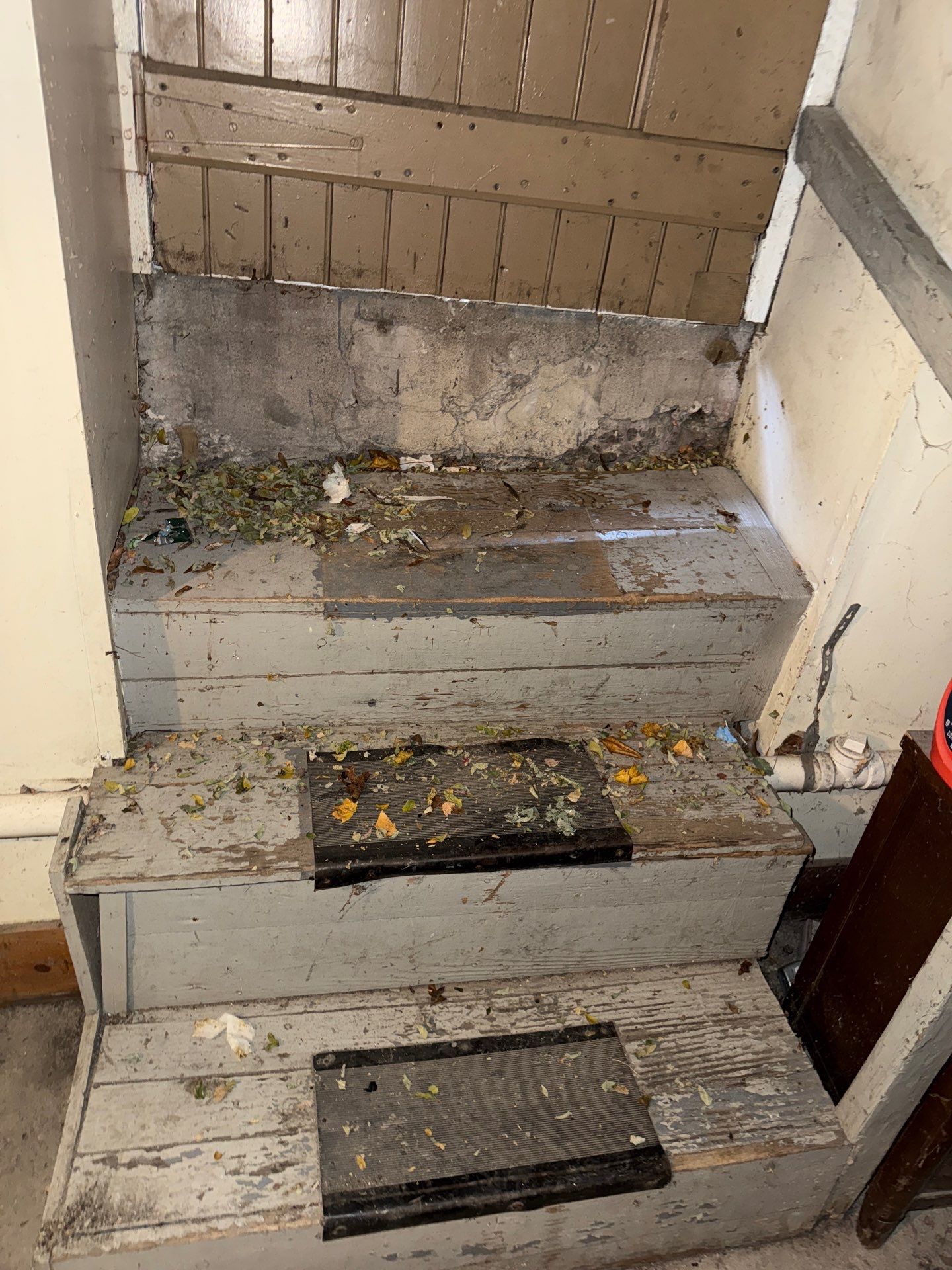 basement steps in jamaica plain by CabralCarpentry & Painting LLC