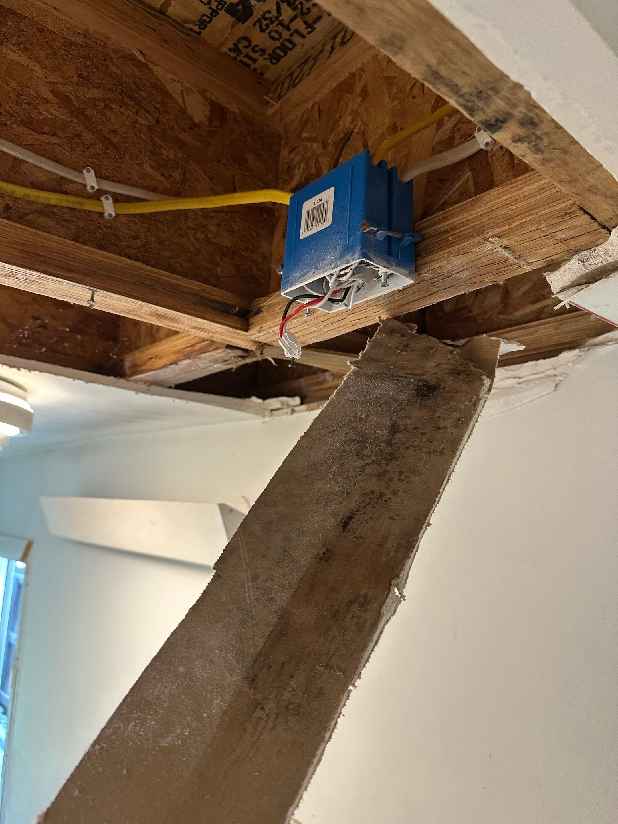 Water Damage in Denver, CO by Alpha Restoration 