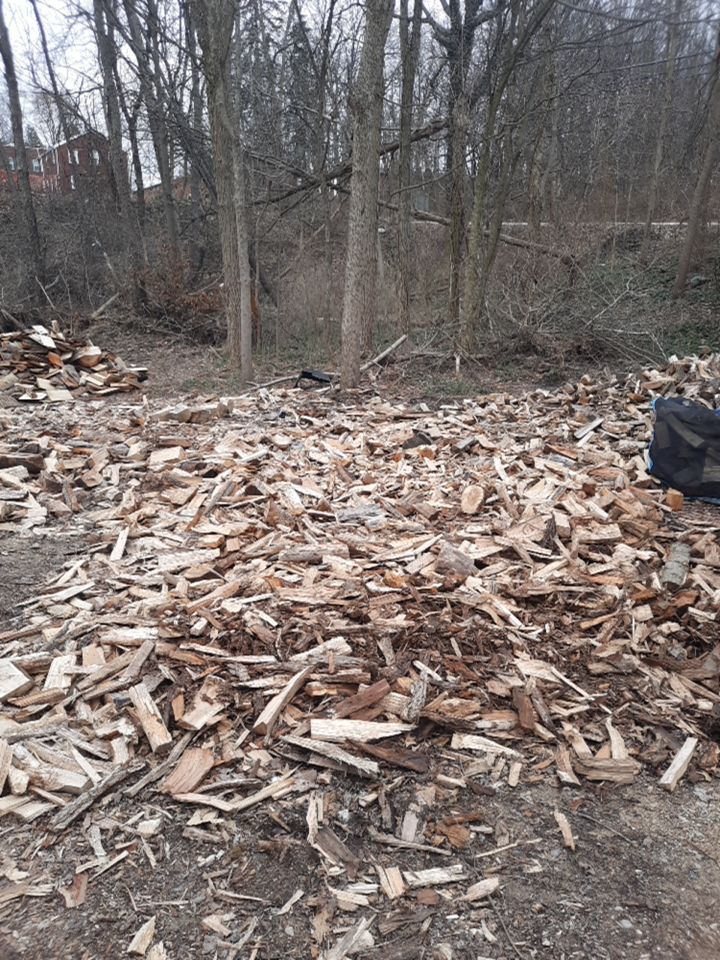 Tree Removal using Tree Removal by Mike Jones & Sons Tree Service LLC 