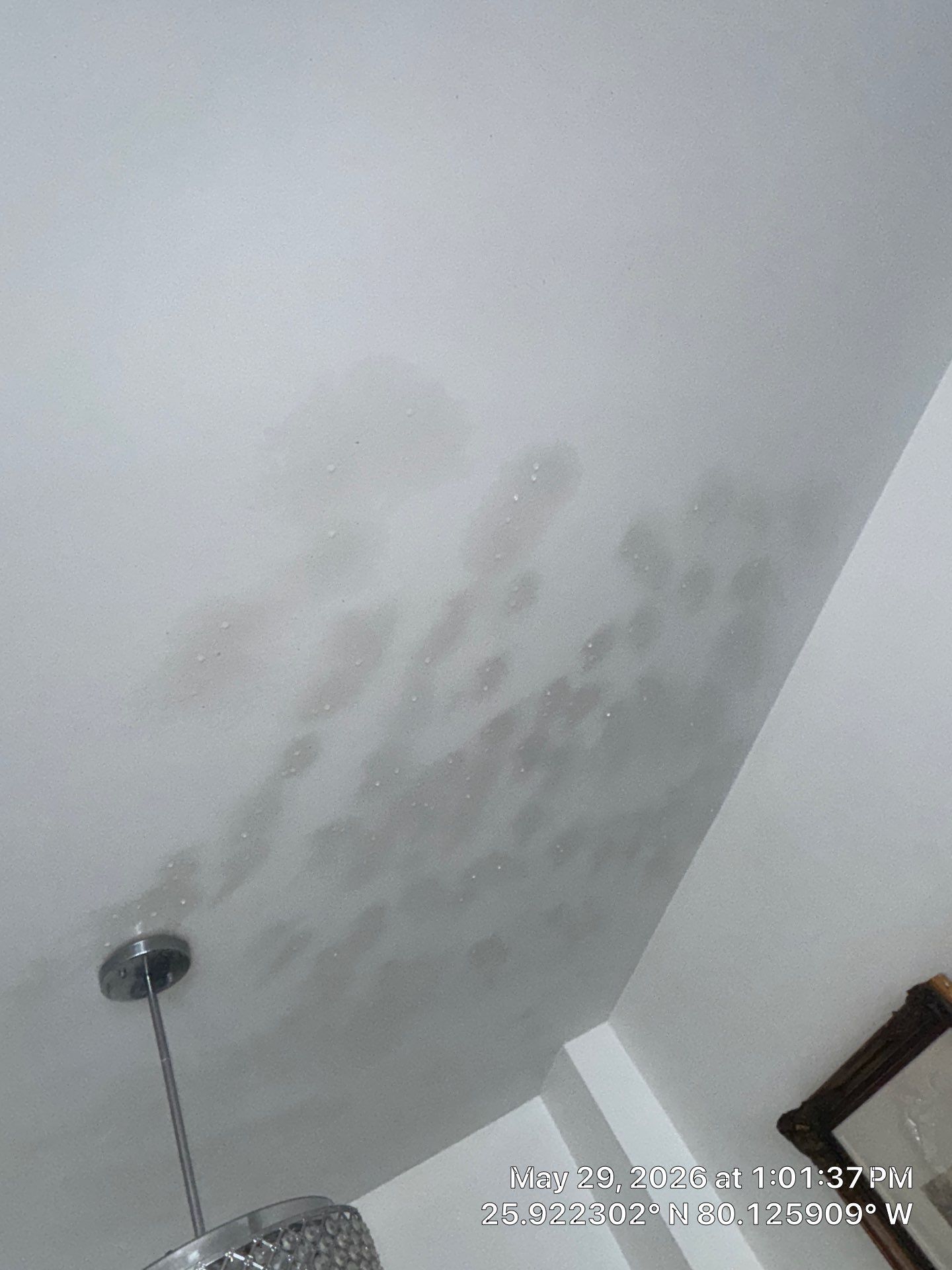 Mold Remediation and Water Damage Assessment in Sunny Isles Beach by SuperClean
