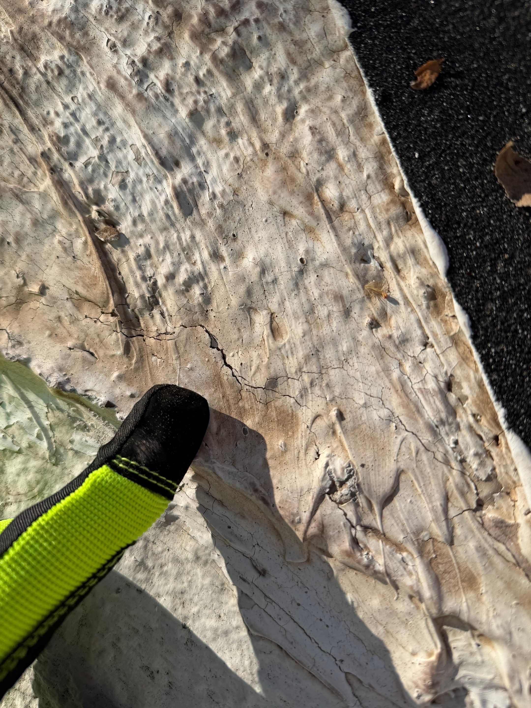 Project in Queen Creek, AZ by Showtime Roofing & Coatings LLC