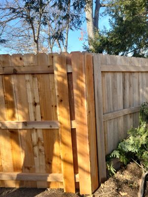 Project in Cedar Falls