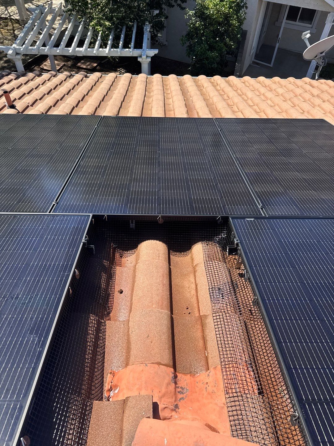 Residential Pigeon Eviction by All One Solar Shine