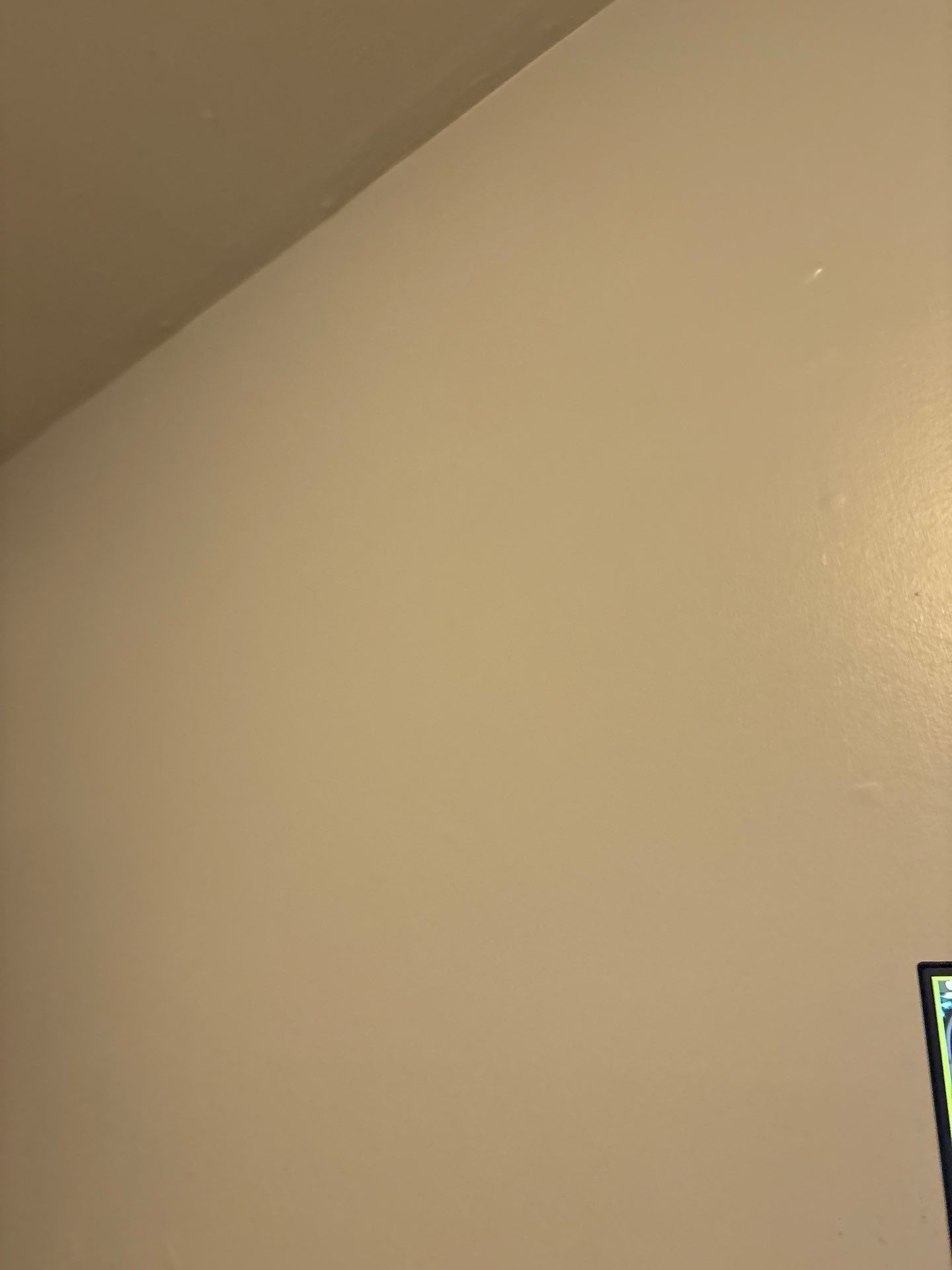 Interior Drywall Patching and Ceiling Repair in Denver by CompanyCam Sales Demo