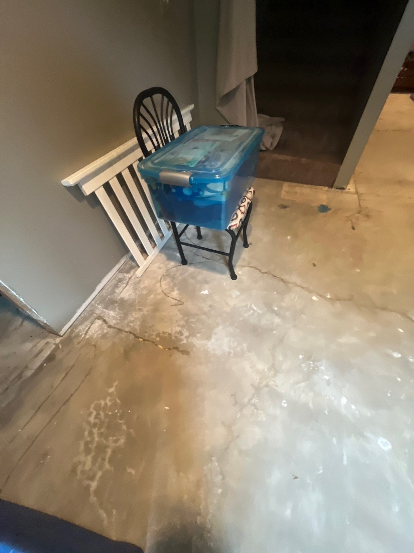 Custom Multi-Fleck Epoxy Floor Coating for Residential Basement by Select Painting, Coatings & Garage Cabinets