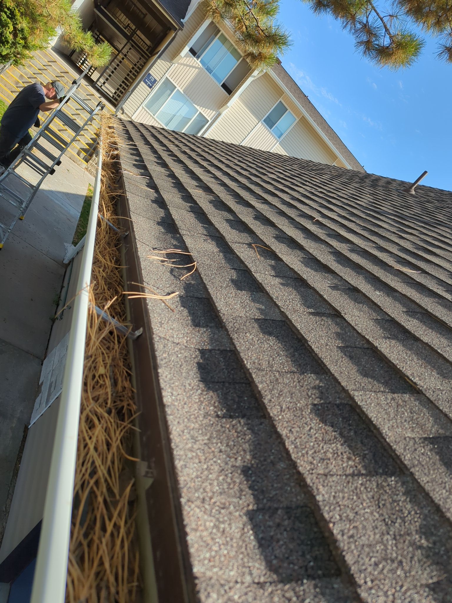 Commercial gutter cleaning Georgia before photo with filled gutters