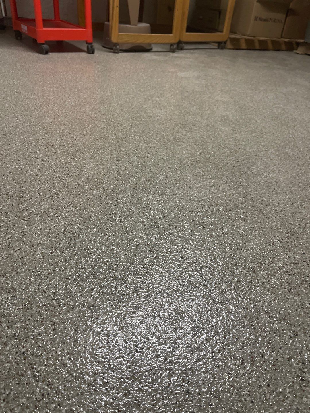 Cat Hospital Project in Pittsburgh by Floors in a Day, Inc