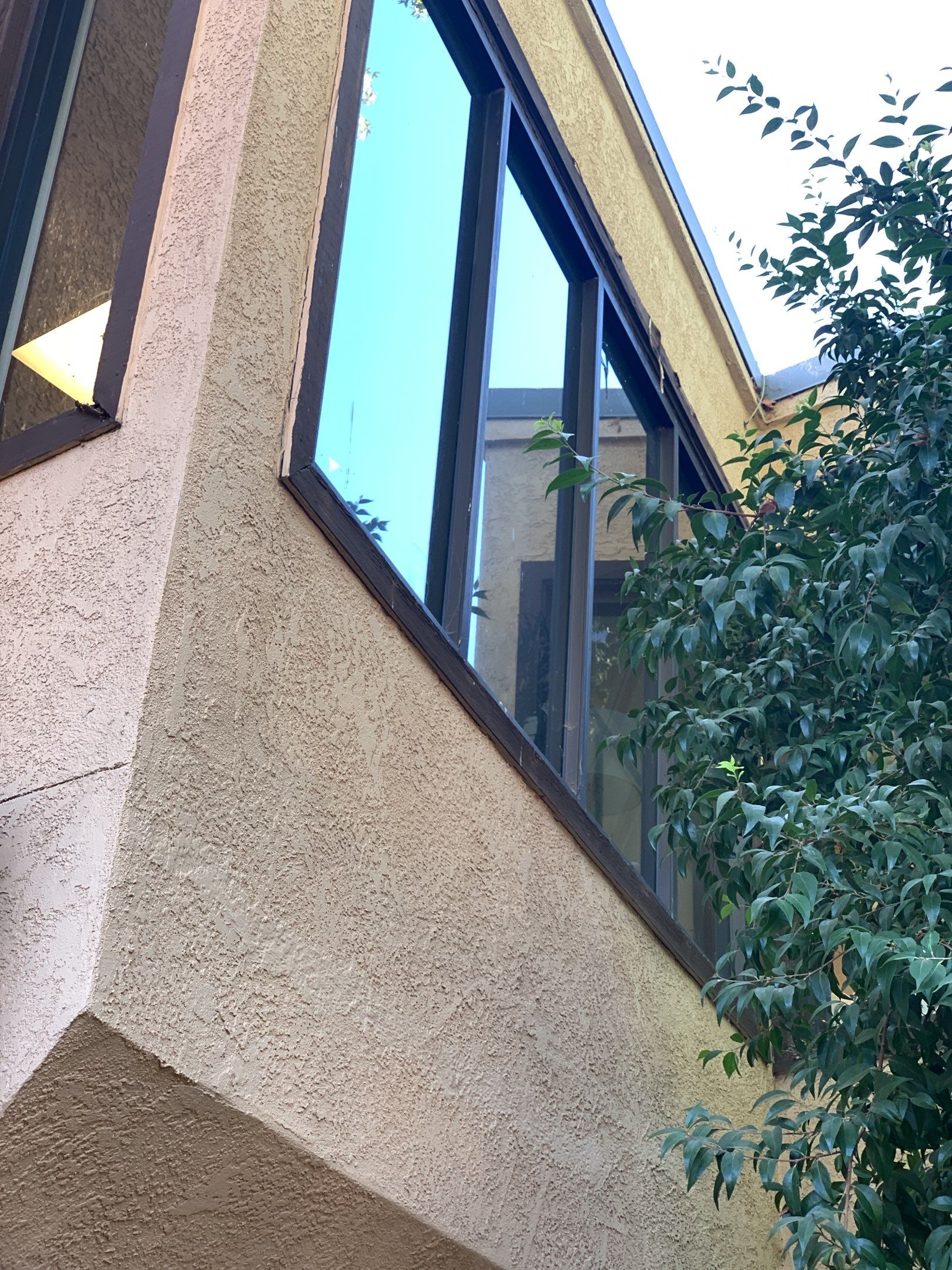 Jila Tailoring Studio by SpotFree Window Cleaning