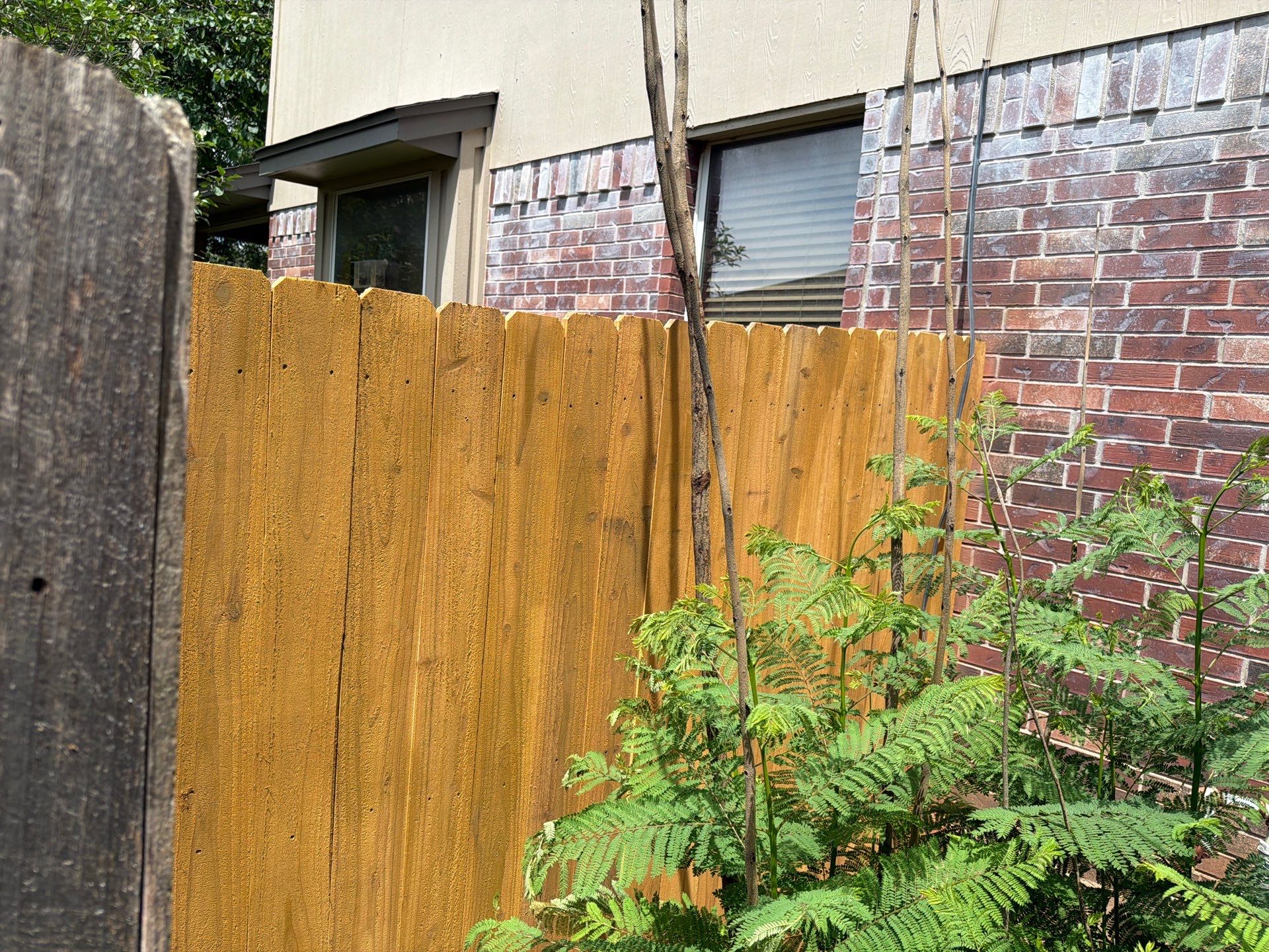 FRONT FENCE TRANSFORMATION!
