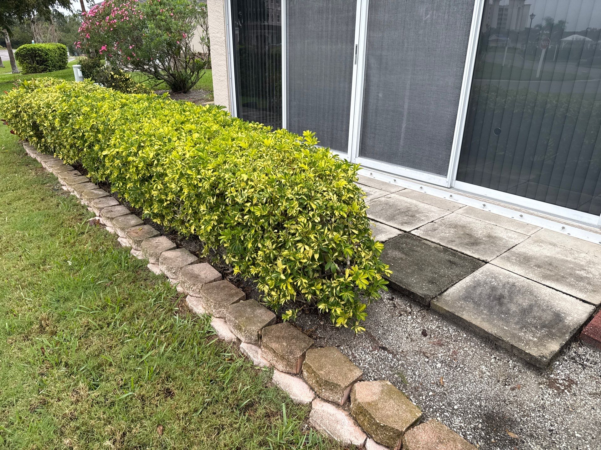🚤 Captain’s Court Condos Exterior Cleaning – Terra Ceia, FL by Sunshine AquaWash