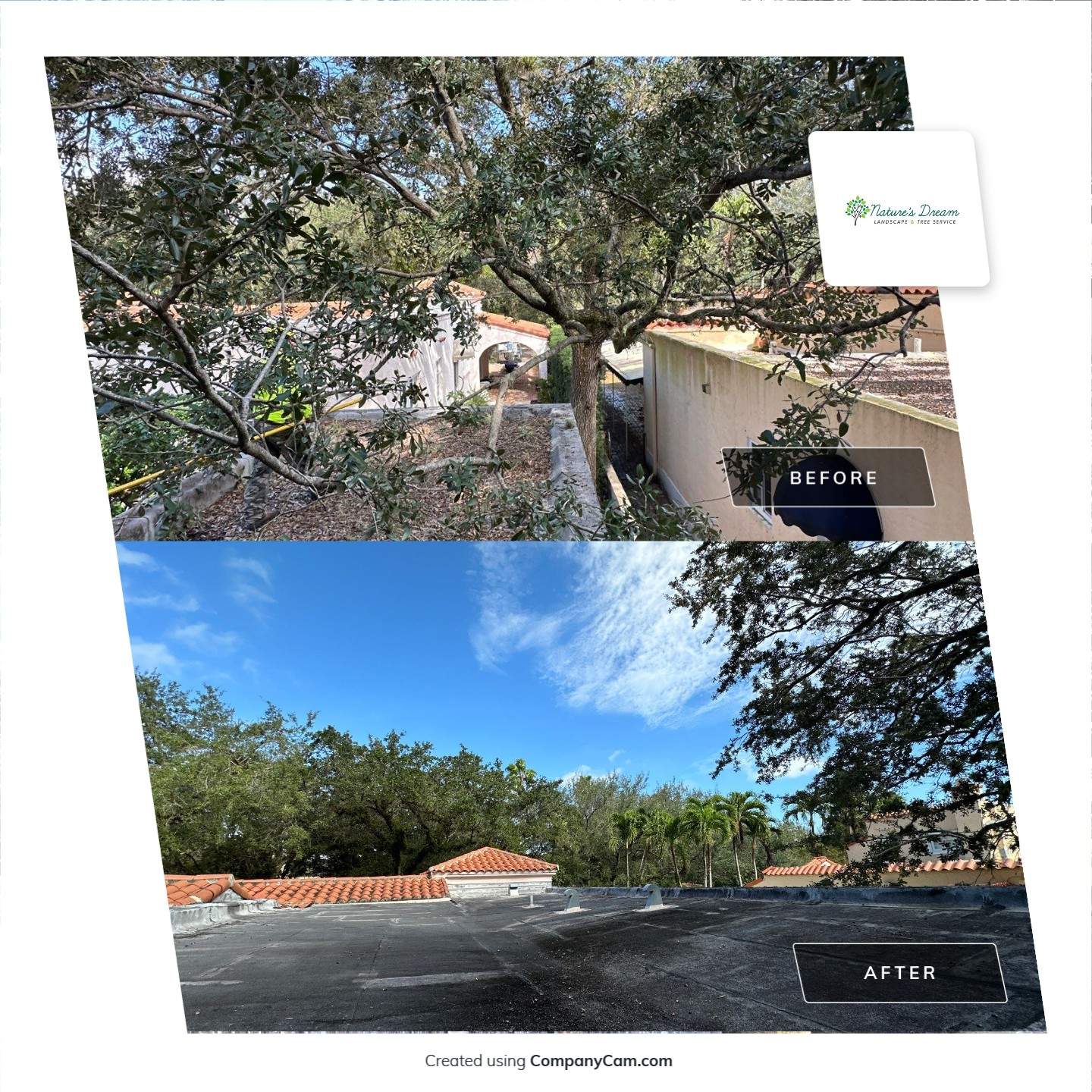 Removing Low Tree Branches Over Roof by Nature's Dream Landscape and Tree Service