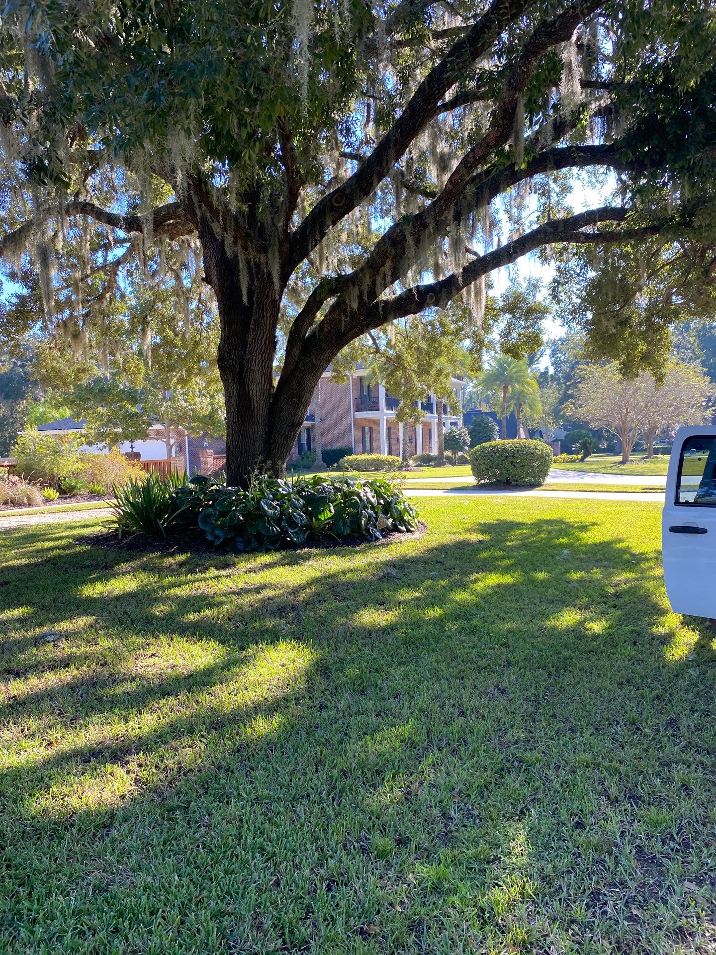 Deerwood Resident | Extreme Clean Up by ProGreen Services