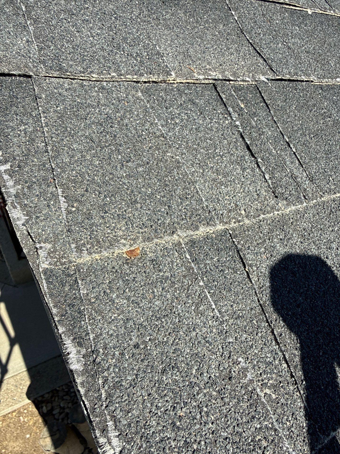 Comprehensive Residential Roof Replacement on Single-Story Nampa Home by Olive Roofing