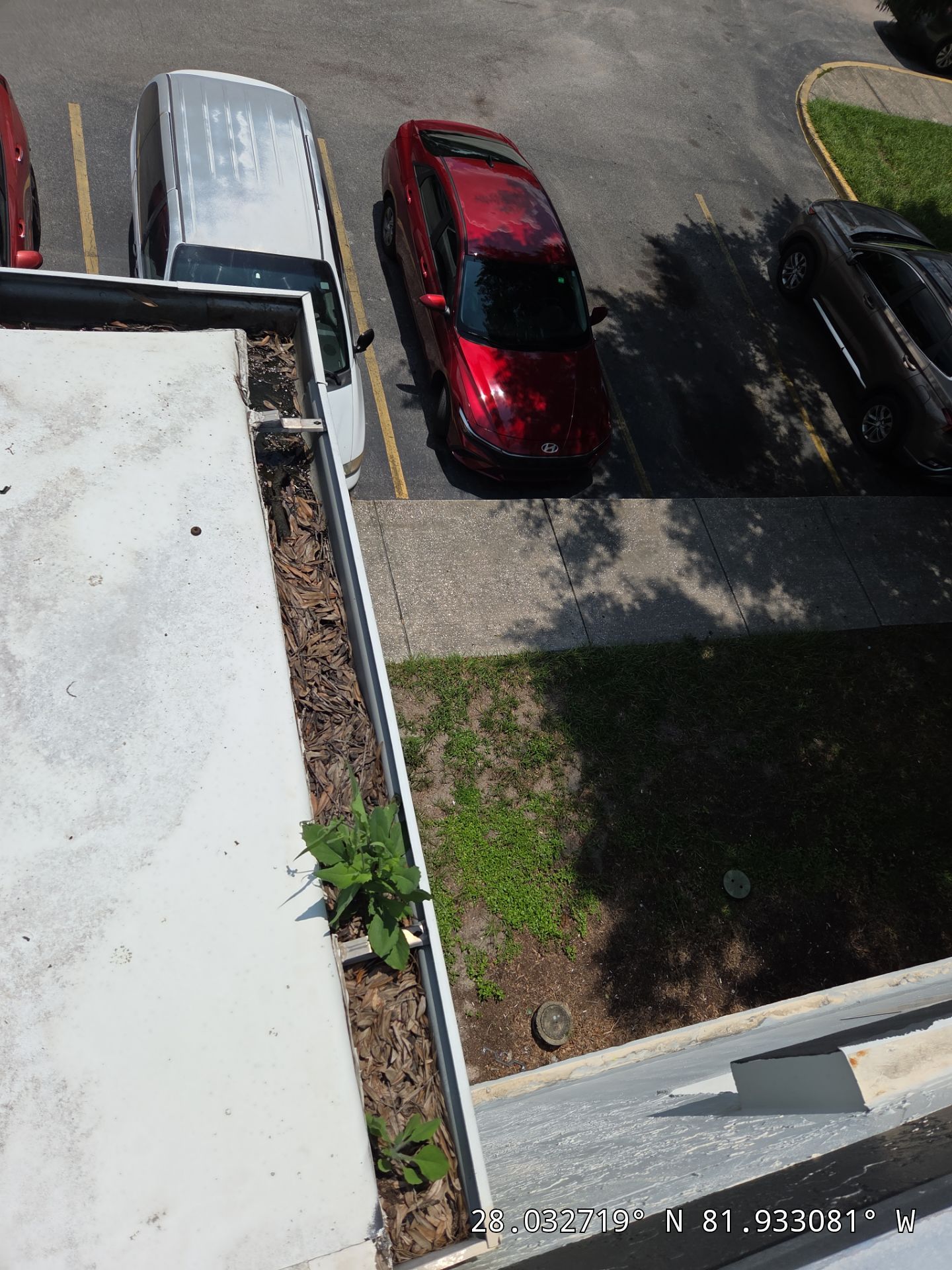 Lakewood gutter cleaning job all gutters filles with leaf at residential location