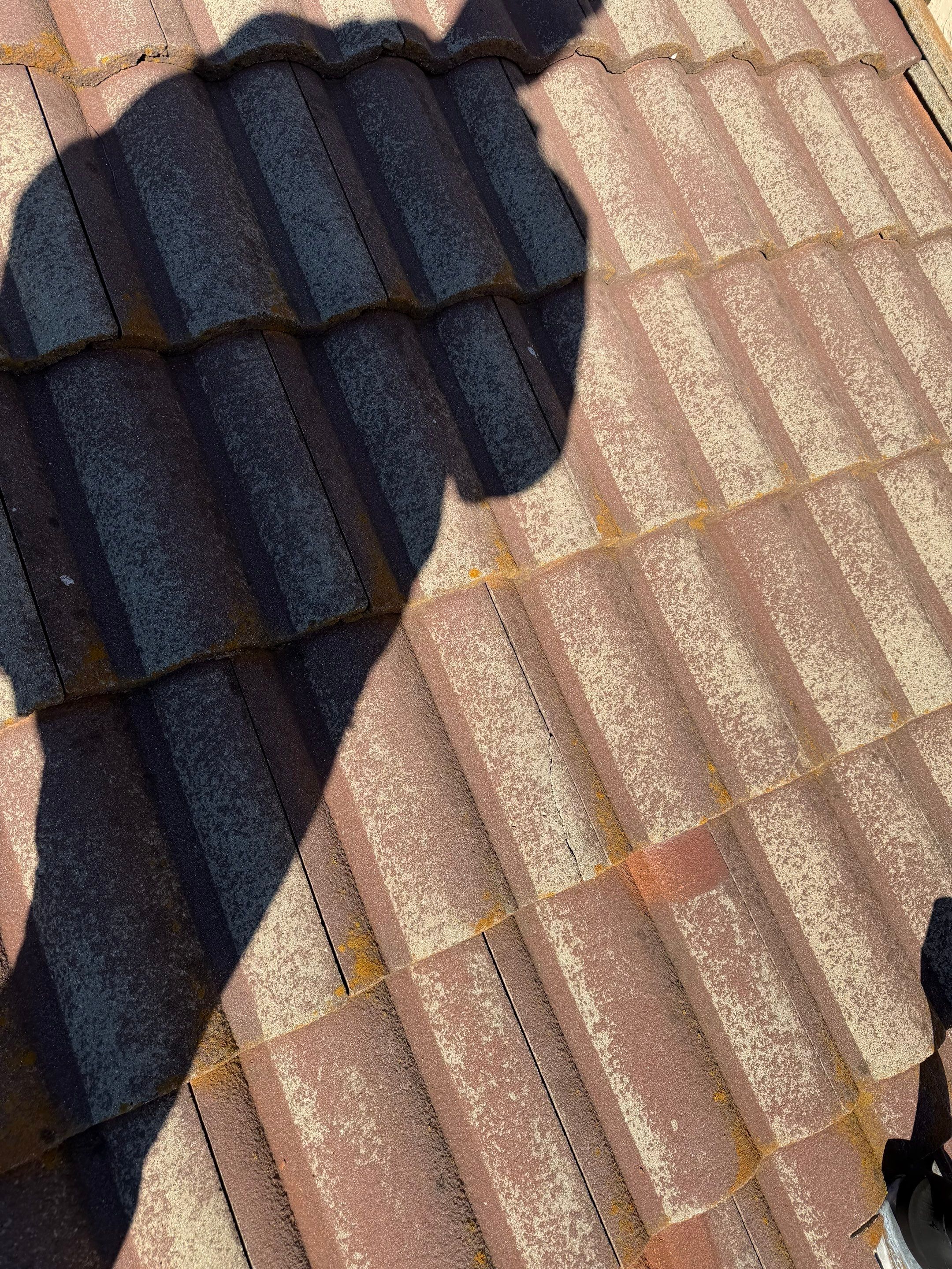 Project in Citrus Heights  by NuLead Construction Inc