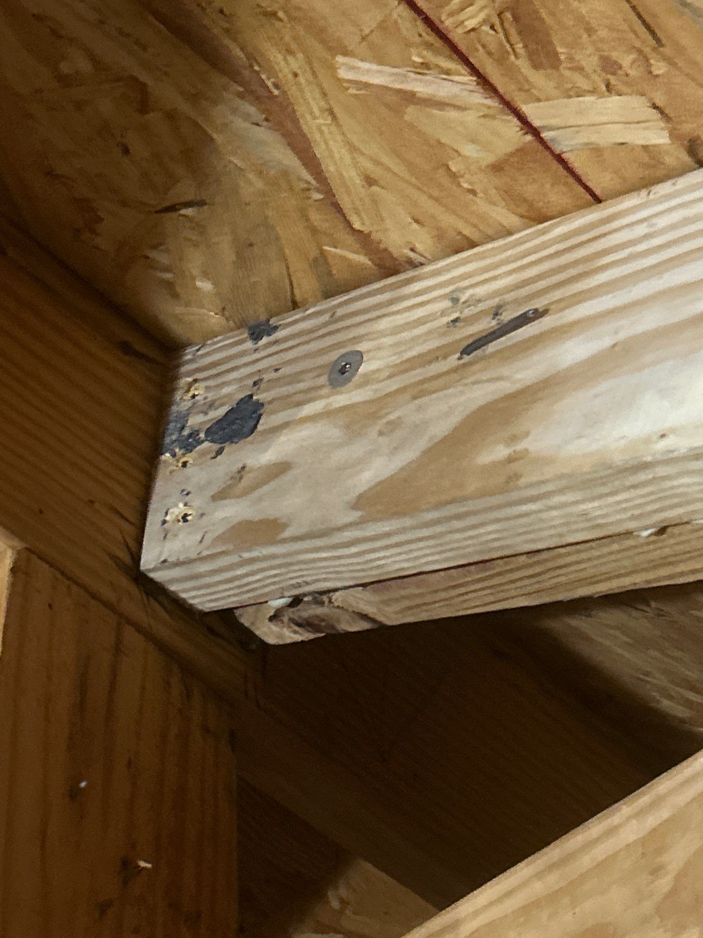 New Roof with better Ventilation  by Bayfront Roofing and Construction